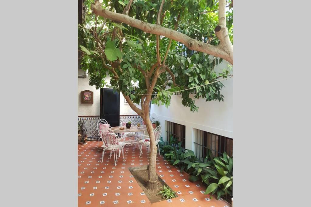 Casa En Granada Con Hermoso Jardin, Parking Calle ภายนอก รูปภาพ